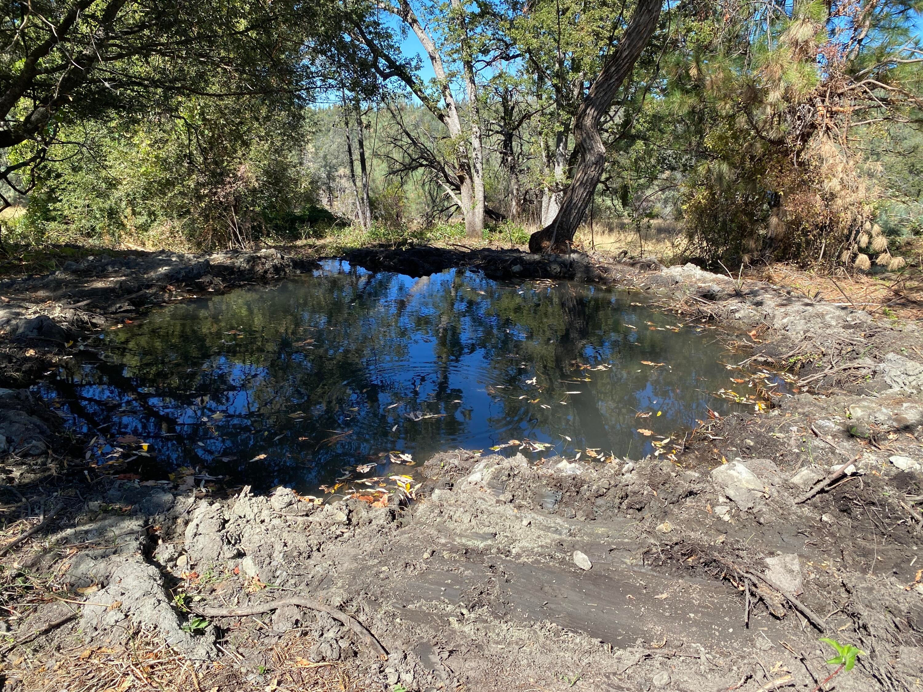 86 Acres Shingletown Ridge Road