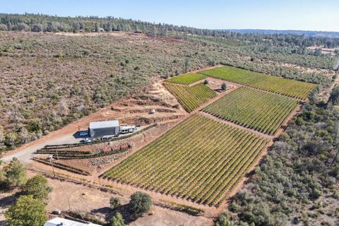 Photo of 31559 Forwards Mill Road, Manton, CA 96059 (MLS # 25-4435)