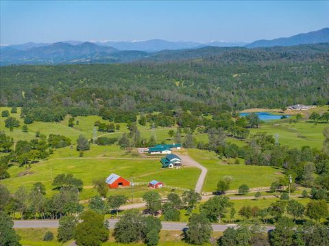 Photo of 26602 Snider Ranch Road, Oak Run, CA 96069 (MLS # 25-5175)