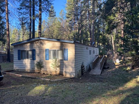 Photo of 30806 Thumper Drive, Shingletown, CA 96088 (MLS # 26-206)