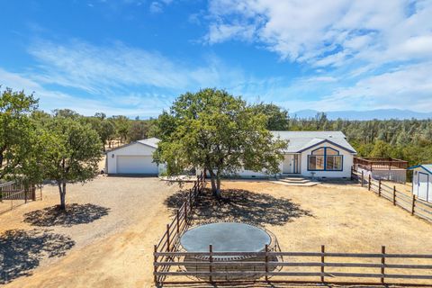 Photo of 17225 Dapple Gray Road, Cottonwood, CA 96022 (MLS # 25-3873)