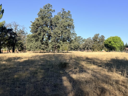 DESCHUTES ROAD, PALO CEDRO, CA 96073 - Image b3fe77d422cb9dcfb05d94882d3adbff/3696370007
