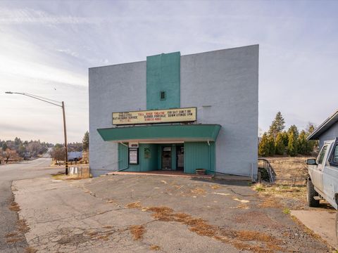 Photo of 43118 CA-299, Fall River Mills, CA 96028 (MLS # 24-5188)