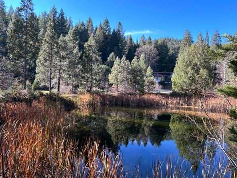 Photo of 151 Guy Covington Drive, Trinity Center, CA 96091 (MLS # 25-5205)