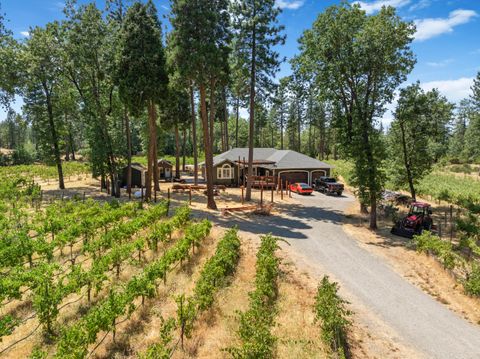 Photo of 32055 Forwards Ml Road, Manton, CA 96059 (MLS # 25-3649)