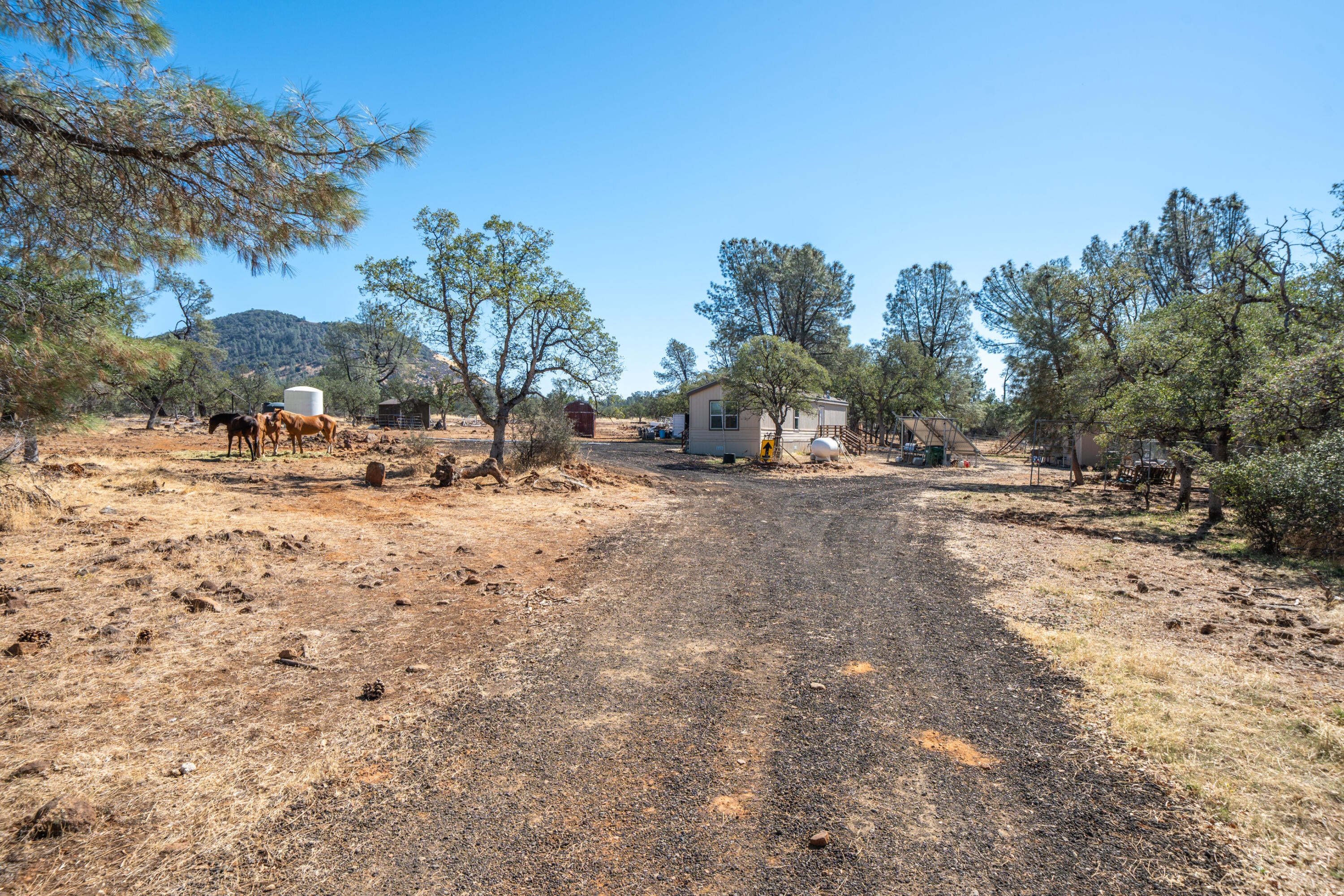 27655 Wildcat Road