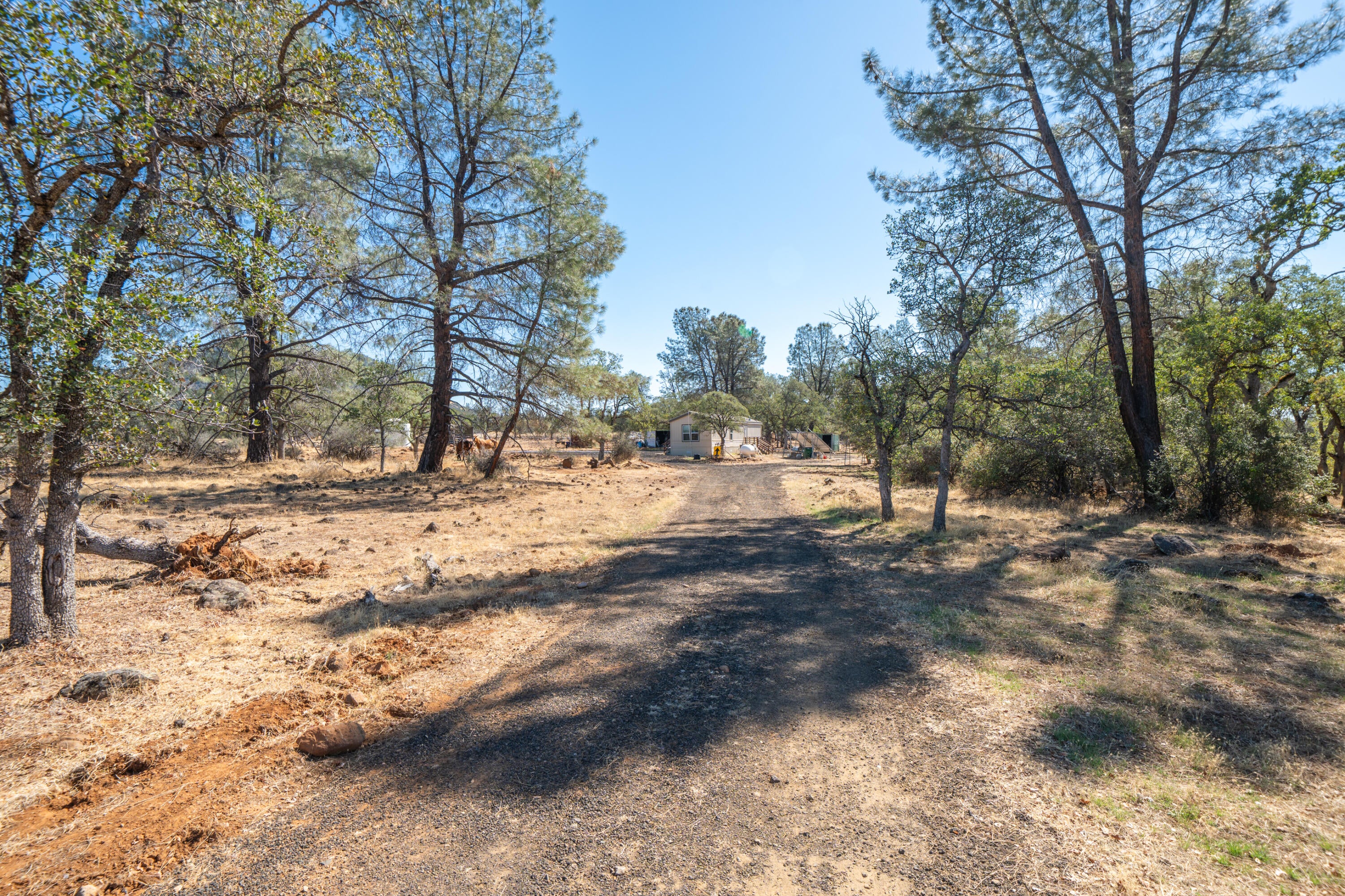 27655 Wildcat Road