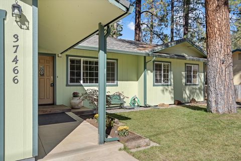 Photo of 37466 Mountain View Road, Burney, CA 96013 (MLS # 25-4691)