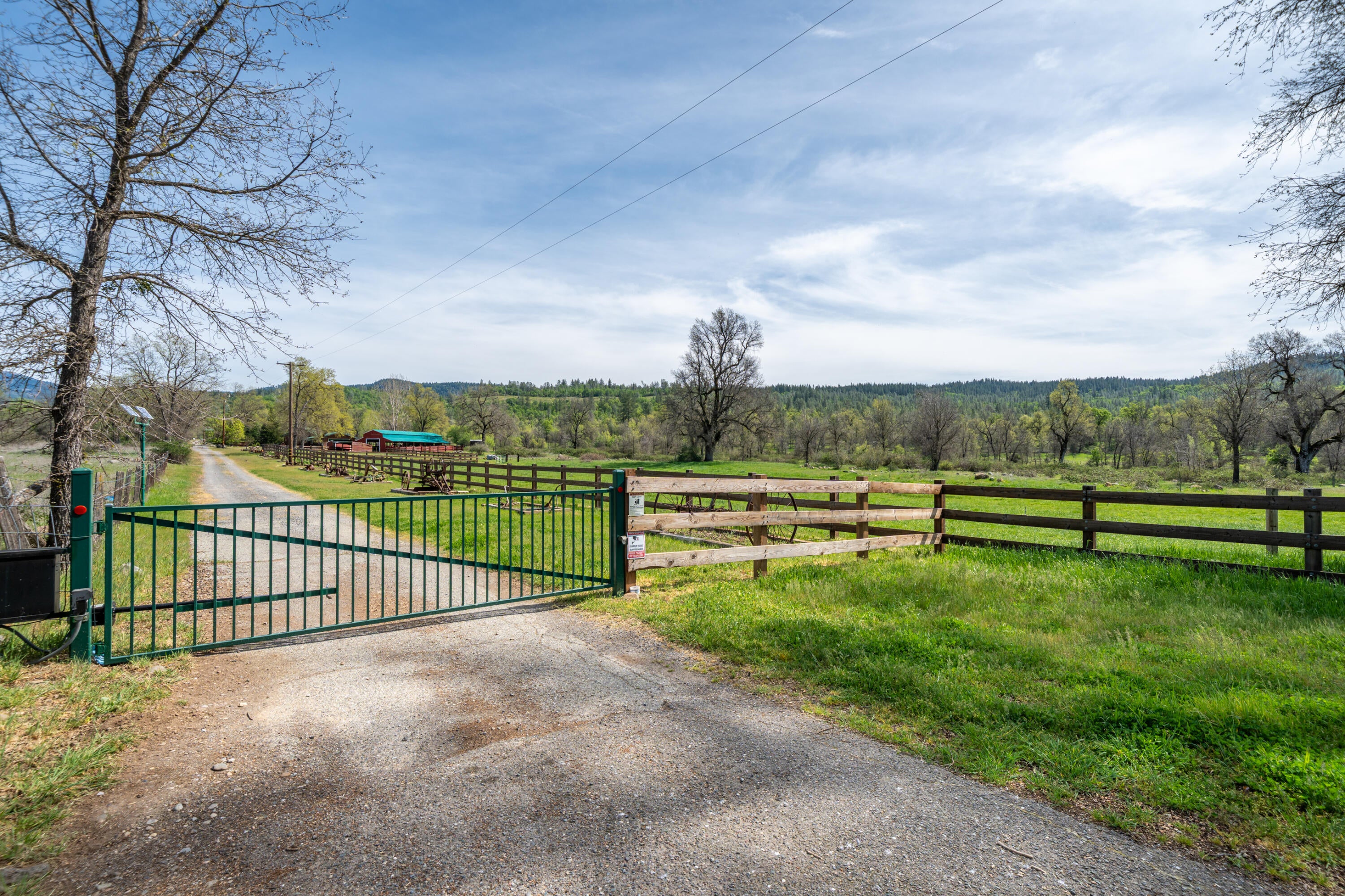28433 Wild Rose Lane