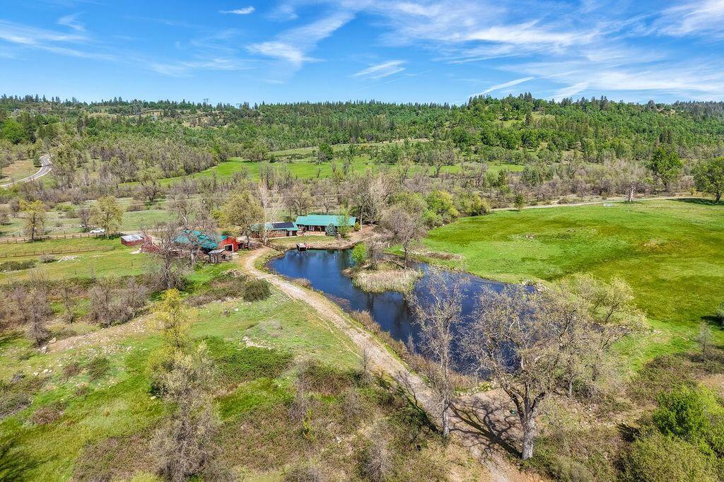 28433 Wild Rose Lane