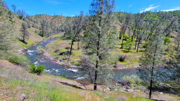 COTTONWOOD CREEK RD, IGO, CA 96047 - Image c7fe89d0f1d06e1a44ecd03b39d51e7a/1699712058