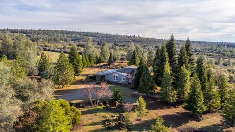 Photo of 32017 Rock Creek Road, Manton, CA 96059 (MLS # 25-5540)