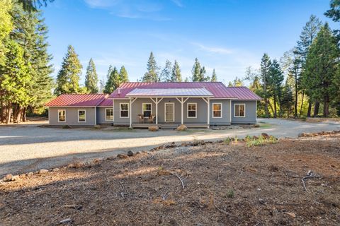 Photo of 33675 State Highway 44, Shingletown, CA 96088 (MLS # 26-1911)