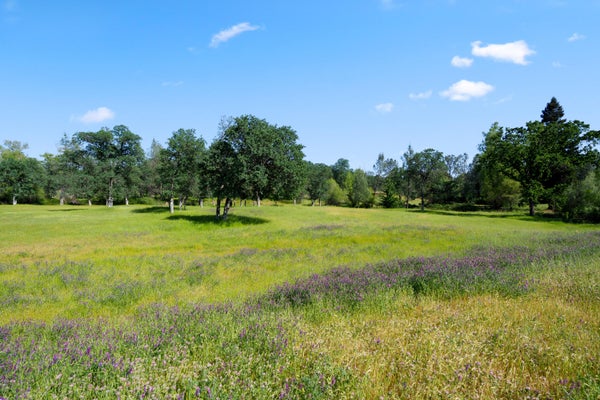 19483 BELLETERRE DR, REDDING, CA 96003 - Image ccf85420687def87bbefc8a9d3323c2a/3103645582