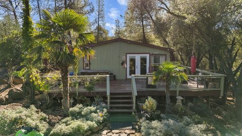 Photo of 27255 Lack Creek Drive, Shingletown, CA 96088 (MLS # 25-4900)
