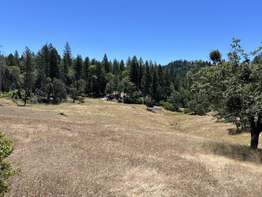 5270 FS 3S15 ROAD, ZENIA, CA 95595 - Image cfdacf7abd8167f6252f7f33869e4a34/1090009664