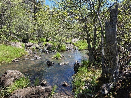 000 PITVILLE ROAD, MCARTHUR, CA 96056 - Image cfdaf458de32befd204818320fb1ae65/554183243
