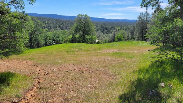MILLER MOUNTAIN RD, WHITMORE, CA 96096 - Image cfdee251c8fb4305ec651c73b96bd09b/2079173048