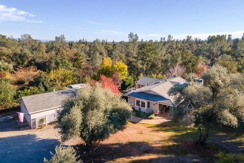 Photo of 17039 Jay Dee Lane, Anderson, CA 96007 (MLS # 25-4550)