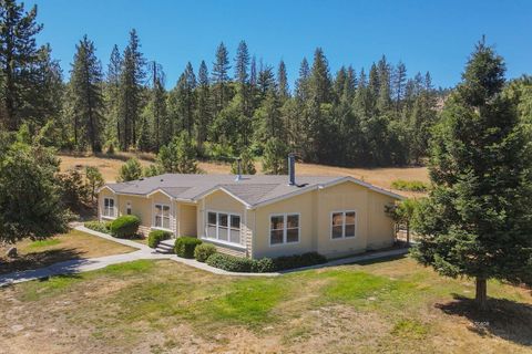 Photo of 72 Alder Creek Road, Lewiston, CA 96052 (MLS # 25-3894)