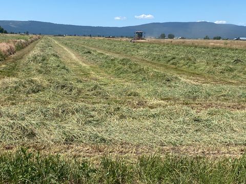 Photo of 553185 Punkin Center Road, Bieber, CA 96009 (MLS # 25-5378)