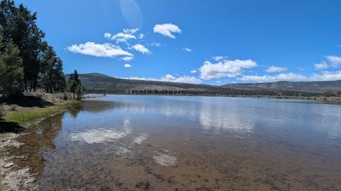 Photo of 18801 Leavers Lane, Macdoel, CA 96058 (MLS # 25-3368)