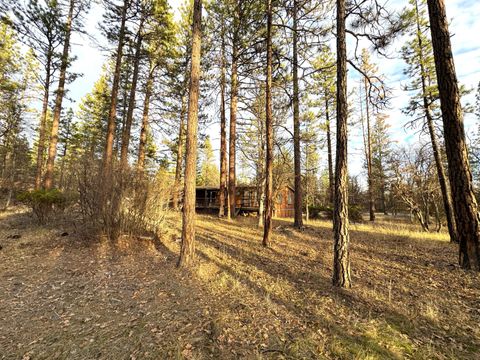 Photo of 39477 Crane Road, Cassel, CA 96016 (MLS # 25-5299)