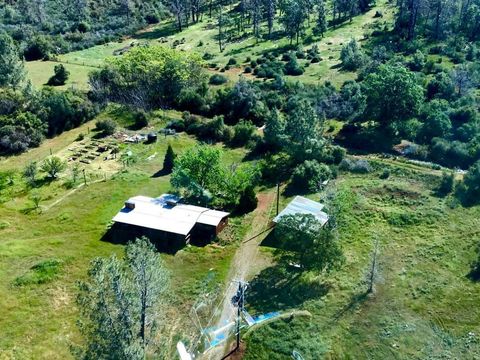 Photo of 21590 Purple Place, Manton, CA 96059 (MLS # 26-3049)