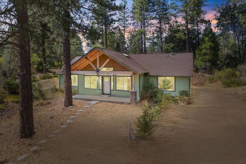 Photo of 32943 Rock Creek Road, Manton, CA 96059 (MLS # 25-3630)