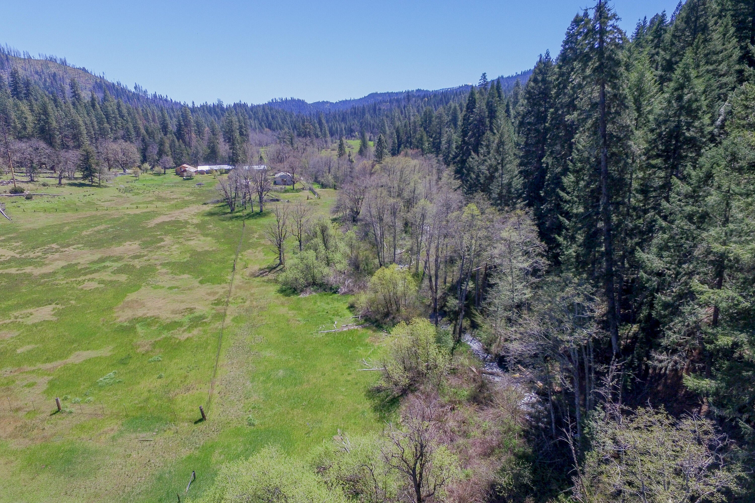 1040 Mullane Trail