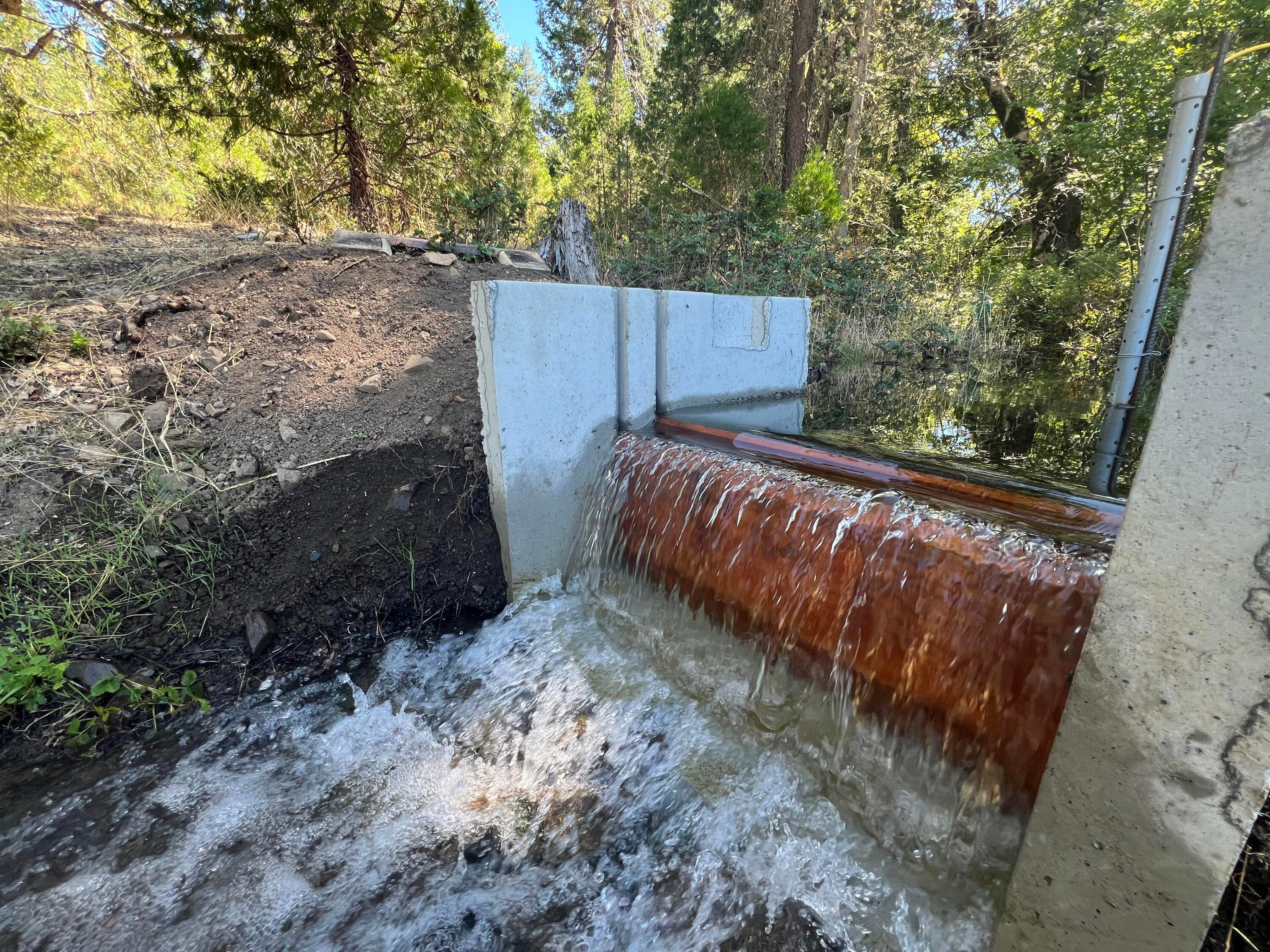 1040 Mullane Trail