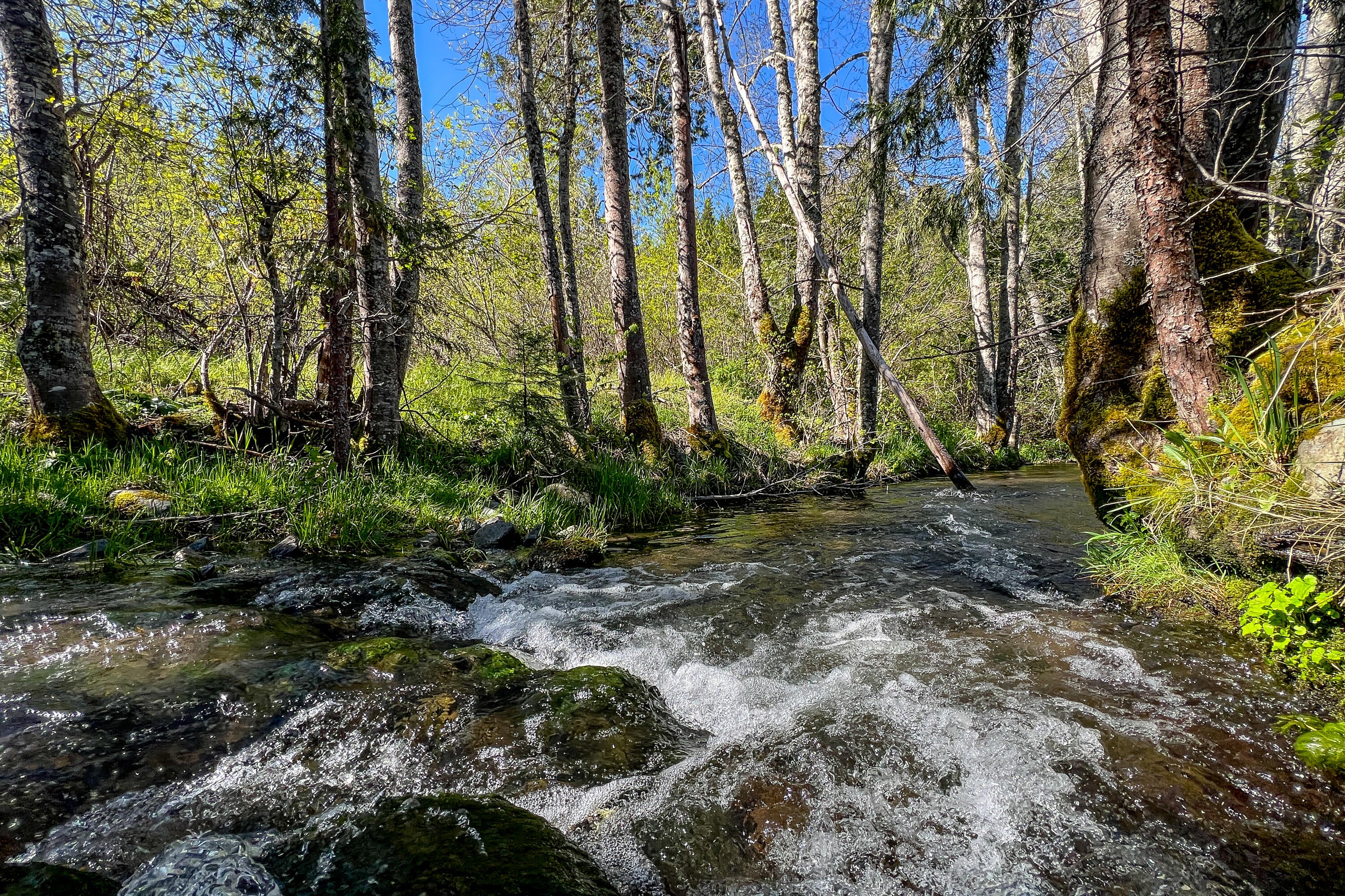 1040 Mullane Trail