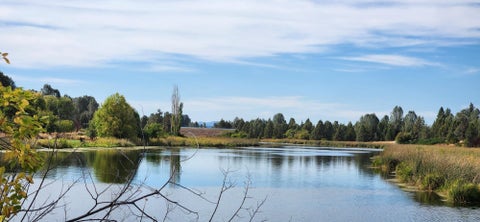Photo of 24917 Long Street, Fall River Mills, CA 96028 (MLS # 26-5205)
