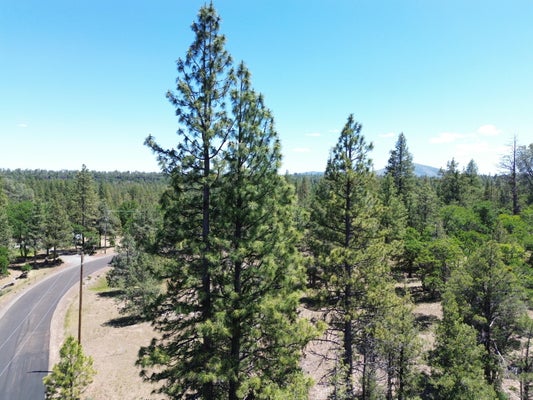 0000 SHOSHONI LOOP, FALL RIVER MILLS, CA 96028 - Image eaa324062c2540e8a5116645ca63d64f/2253507305