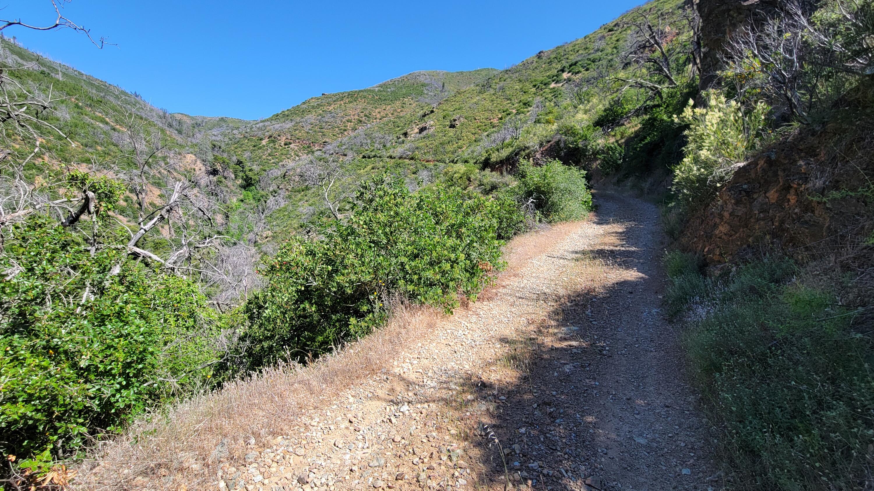 000 Grizzly Gulch Road
