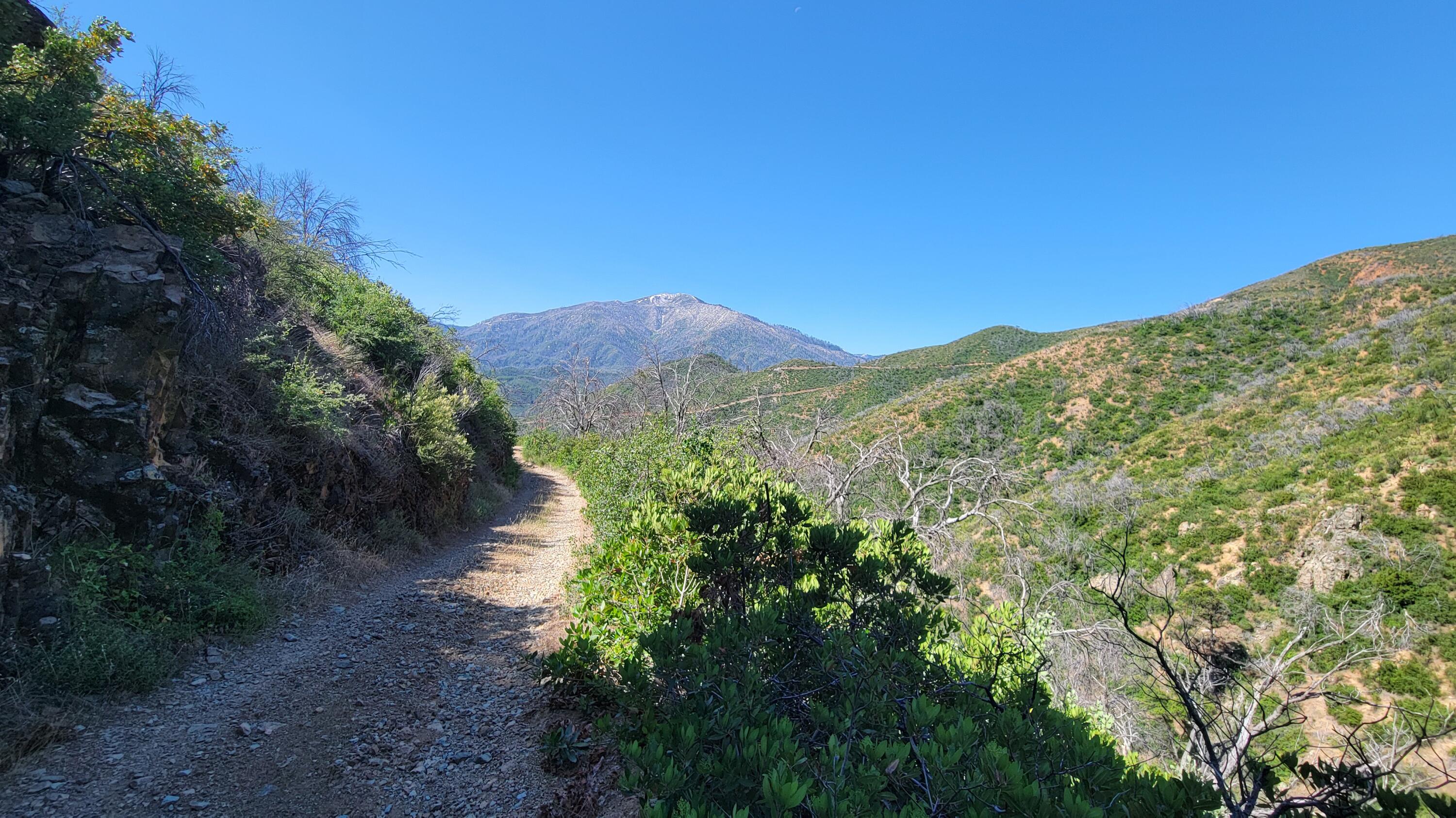 000 Grizzly Gulch Road