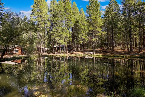 Photo of 21800 Cedar Ridge Road, Manton, CA 96059 (MLS # 25-4081)