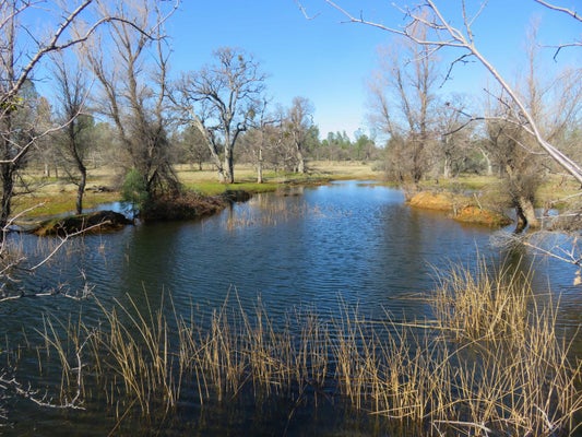 41 ACRES ASH CREEK ROAD, ANDERSON, CA 96007 - Image f557f3a04a2ef5a183d75475298f8bef/2342126777