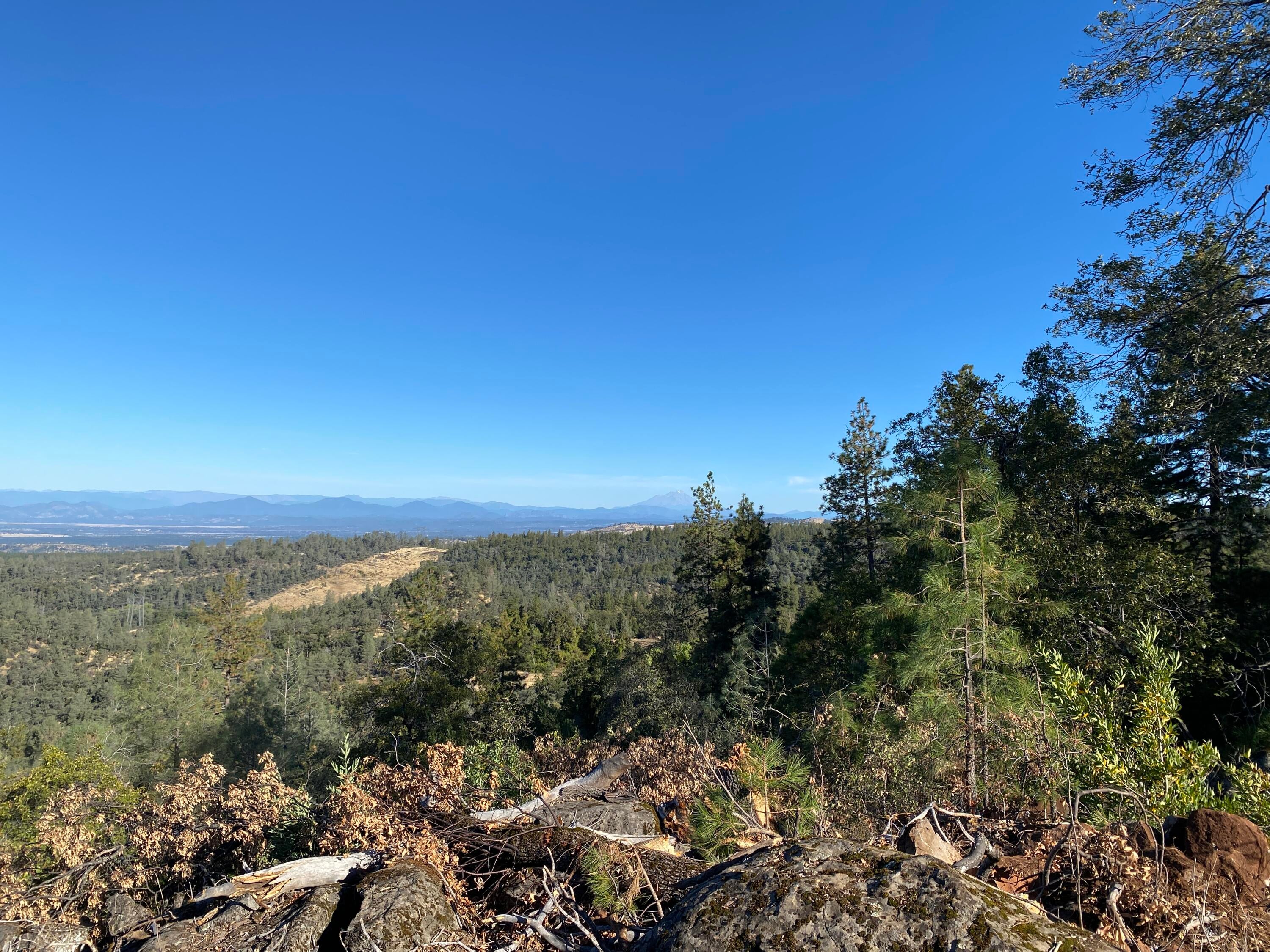 173 Acres Shingletown Ridge Road