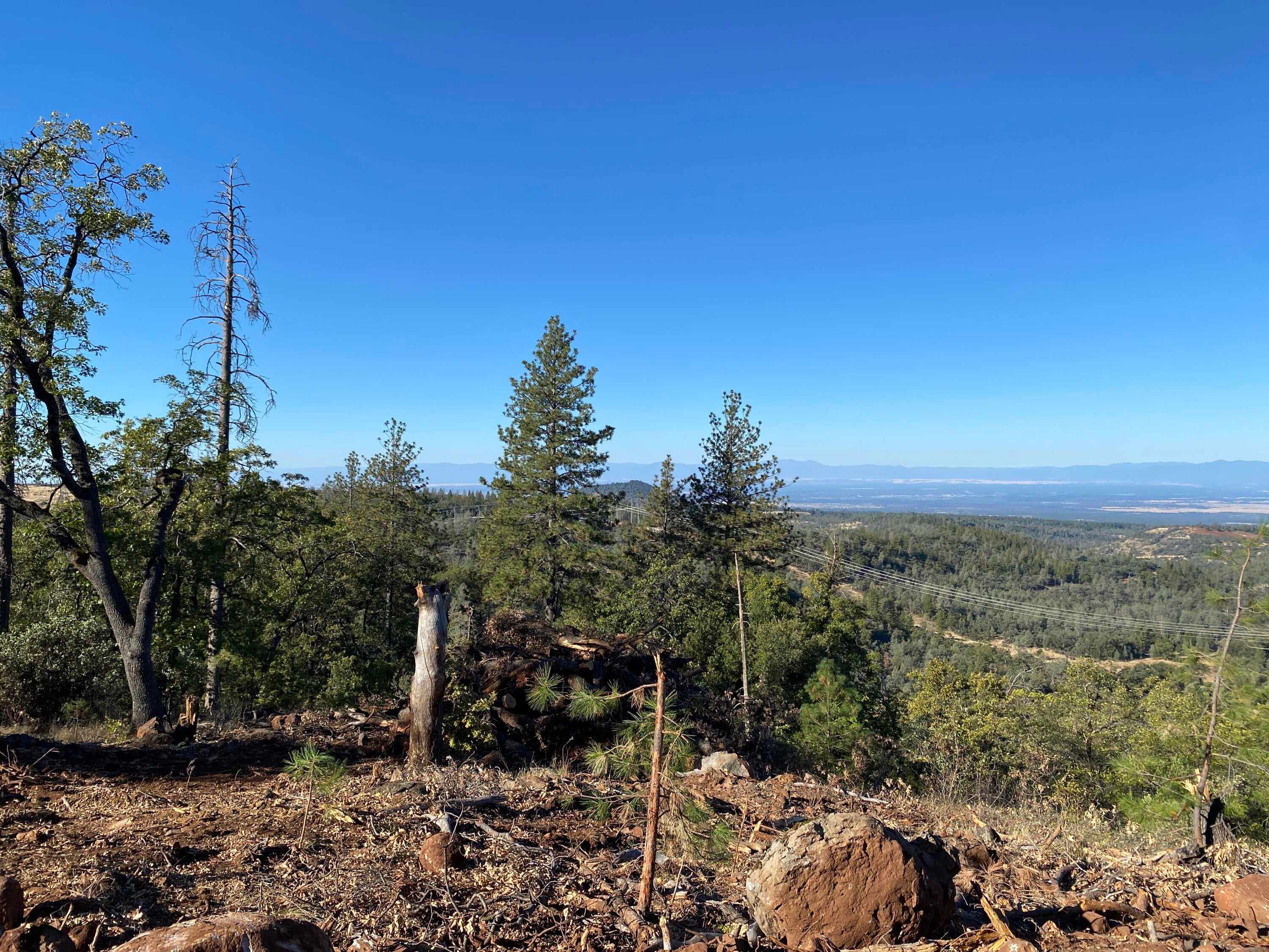 173 Acres Shingletown Ridge Road