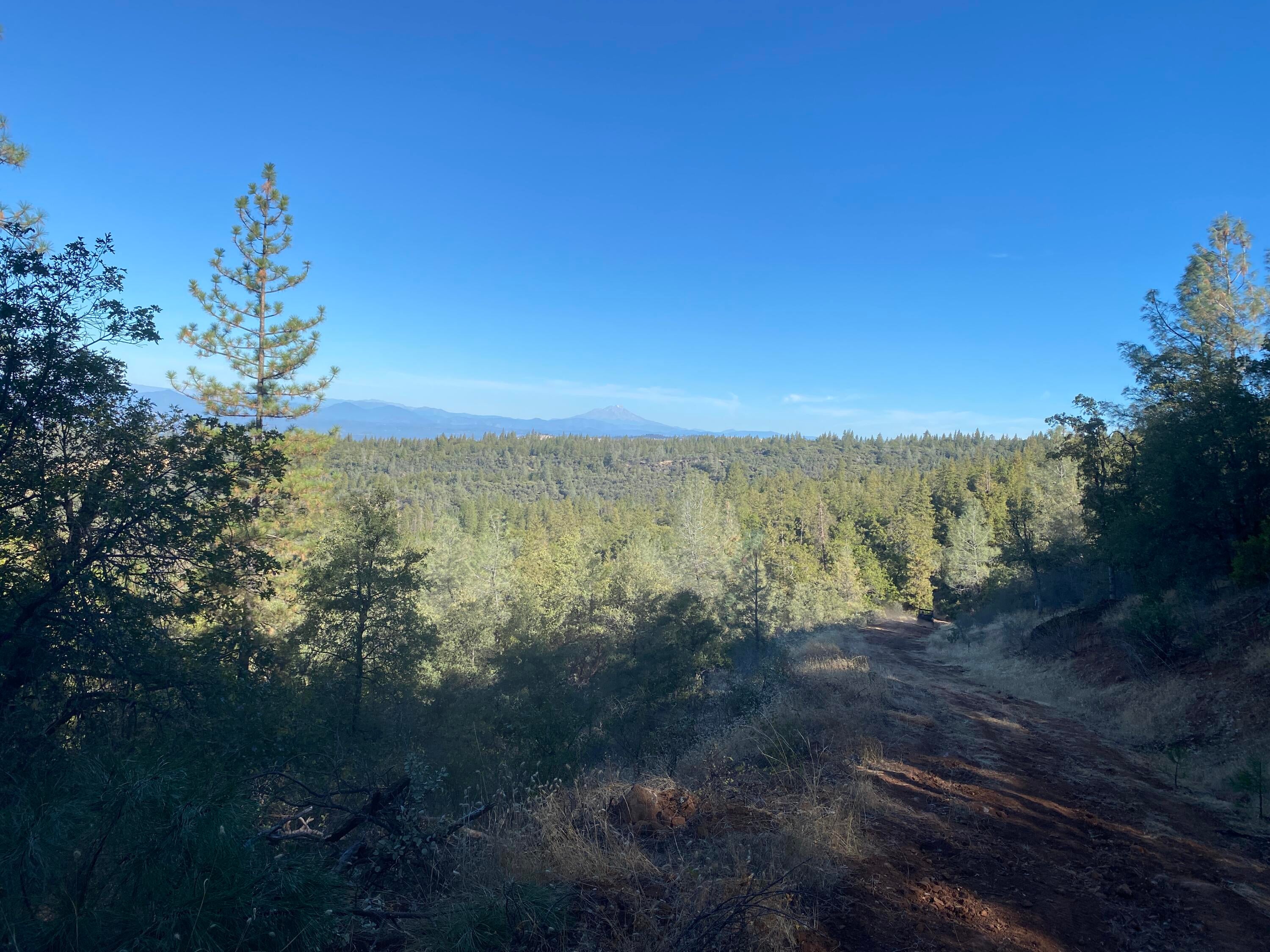 173 Acres Shingletown Ridge Road