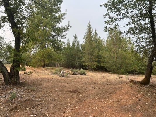 SUGAR PINE CAMP RD, BELLA VISTA, CA 96008 - Image f8e4a5c008ef23601cc71e9a40dae3c8/3244291463