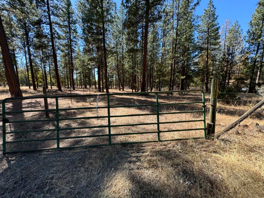 29360 DAY RD, MCARTHUR, CA 96056 - Image fbb5d9d5b1edfe90daa33bd8f65f4d0a/1614430808