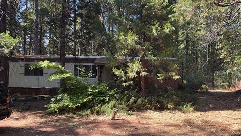 Photo of 7564 Brett Road, Shingletown, CA 96088 (MLS # 25-4404)