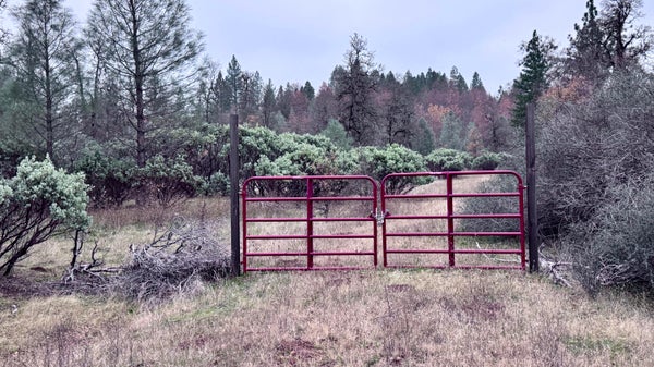 DITTMAN RD, MONTGOMERY CREEK, CA 96065 - Image ffa0fb061fd6f63ee6edead69d9a84a7/4094518534