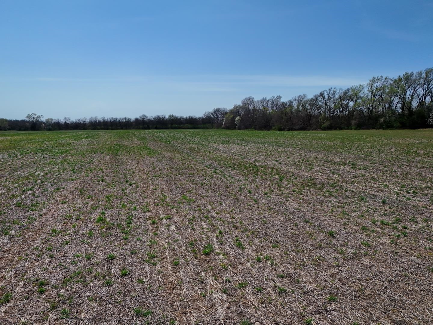 25.18+/- Acres 103rd St, Clearwater, Kansas image 18