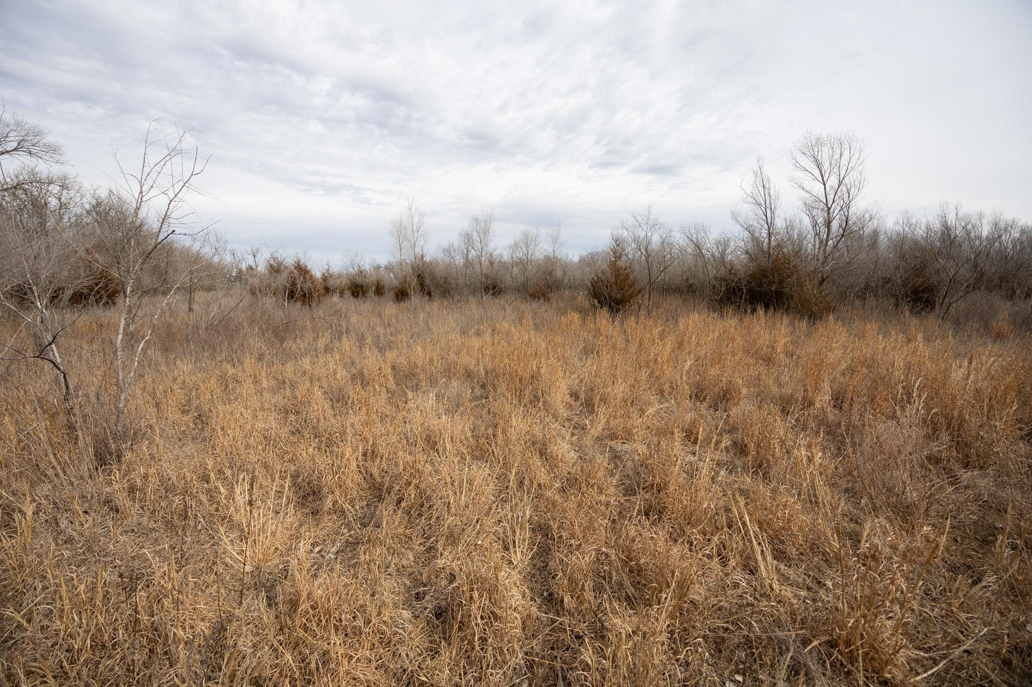 0000 1st Rd, Geuda Springs, Kansas image 27