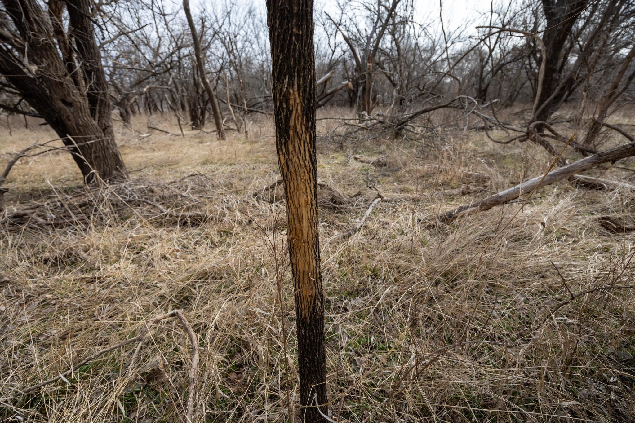 0000 1st Rd, Geuda Springs, Kansas image 26