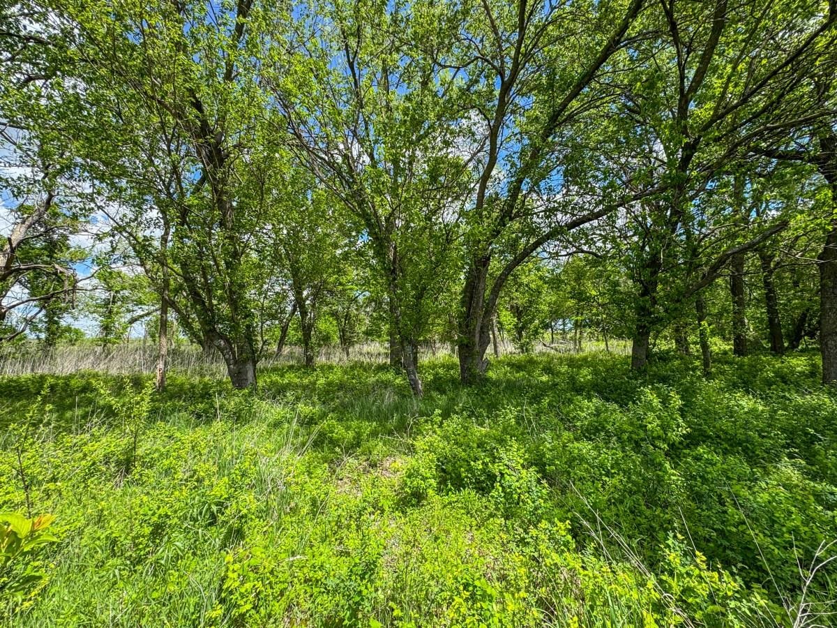 000 Hwy 77, Augusta, Kansas image 16