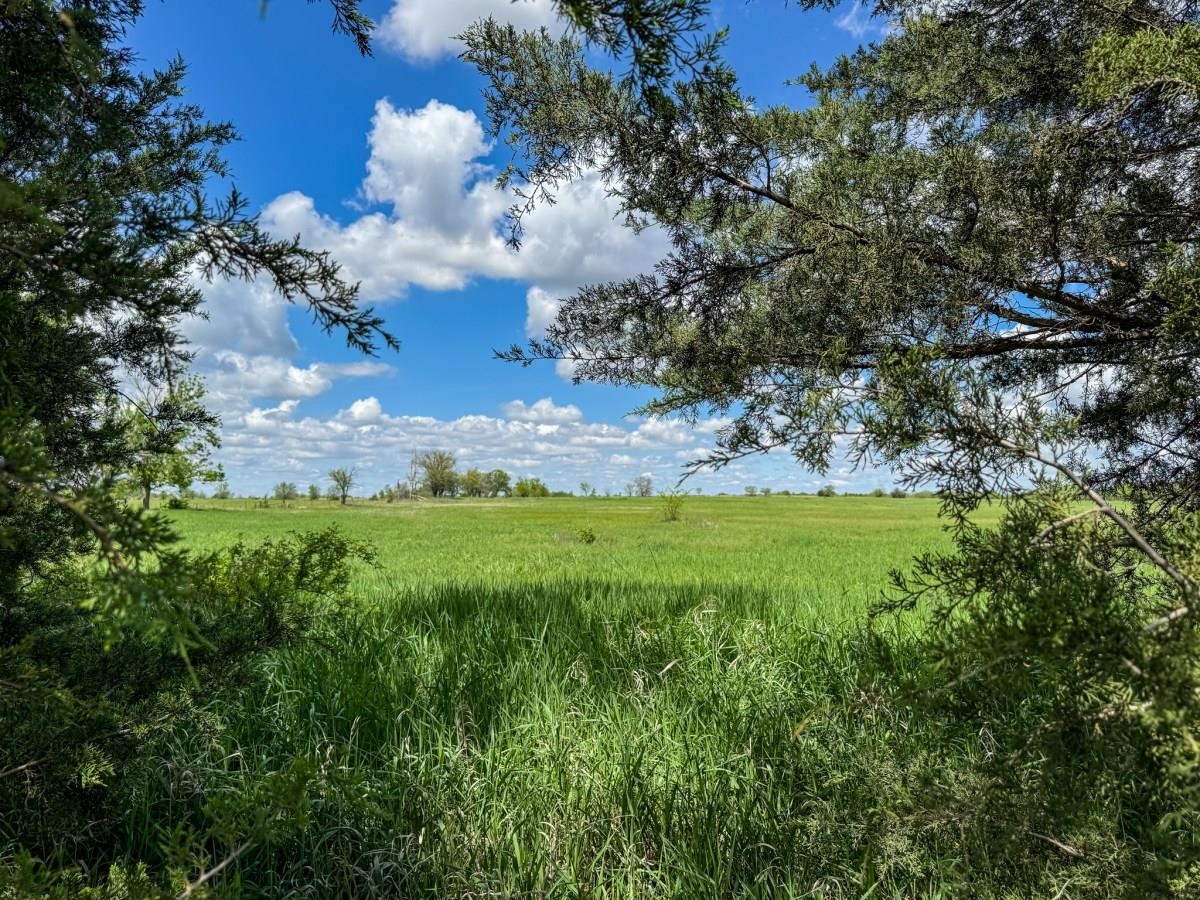 000 Hwy 77, Augusta, Kansas image 32